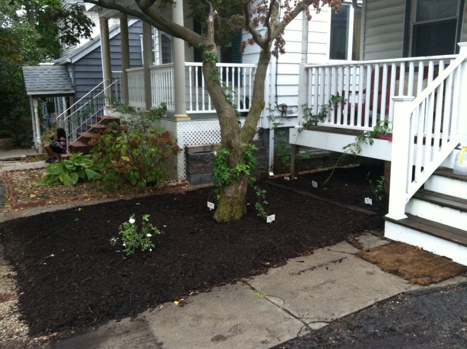 photo 1376546_10151706668732285_1278642669_n.jpg